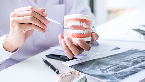 Praxis Dr. Schneider – Beratung